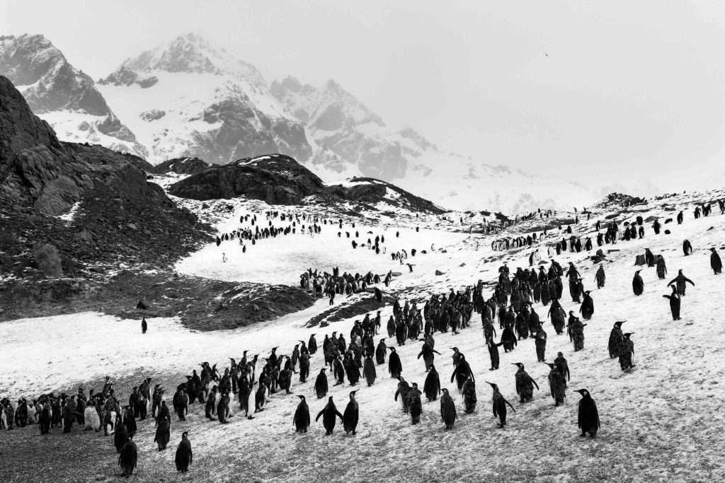 Fotografía de Sebastião Salgado de la serie Glaciares, en la exposición «Aqua Mater» de la Fundación Canal